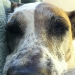 Molly Mistretta - Facebook