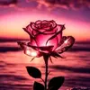 itz Mohan🥰🥰 - @mohanmolly1 - TikTok