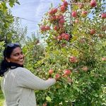 Molly Mohan - @mohanmolly - Instagram