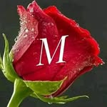 Sushanto Mondal - @mollymohan721 - Instagram