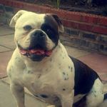 molly - @molly.monaghan1 - Instagram