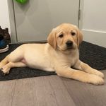 Molly - @molly_monaghan2022 - Instagram