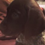 Molly Monaghan - @baby_molly_mental - Instagram