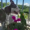 Mora & Molly - @mora.molly - TikTok