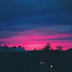 @_molly_moss - Instagram