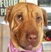 Molly Mott - Facebook
