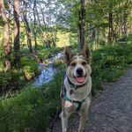 Molly Mudder - @mollymudder - Instagram