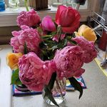 Molly Nagle Hood - @magnolias_farm - Instagram