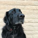 Molly. Moll. Nancy. Nance. - @tap.dancing.nancy - Instagram