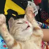 Molly - @molly.nance - TikTok