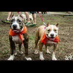 Neron&Molly - @neronmolly - Instagram