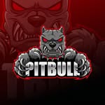 @pitbull.vigia.neron.molly - Instagram