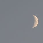 Moll - @mollyleadbetter.fenney - Instagram