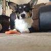 Molly orozco - @coolpie17883 - TikTok