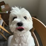 Molly Ortiz - @mully._.__ - Instagram
