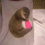 mollyotter16 - @mollyotter1605 - Instagram