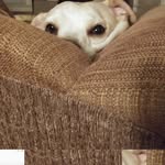 Molly Padilla - @molly_da_moo - Instagram