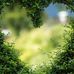 Mollie Parkin - Facebook