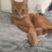 Molly Palin - Facebook