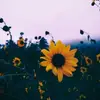 Compte pub - @molly._.payton - TikTok
