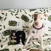 Payton.Allee.Molly - @payton.allee.molly - TikTok