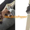 Dani,Molly,Pepper 🕊 - @danimollypepper - TikTok