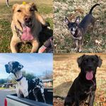 Molly Maddy Misha Pepper - @mollymaddymishapepper - Instagram