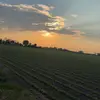 Molly - @mollypepper - TikTok