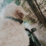 •𝐦𝐨𝐥𝐥𝐲 & 𝐩𝐞𝐩𝐩𝐞𝐫• - @molly.pepper.goldies - Instagram