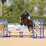 Molly Pickett - @m.p_equine - Instagram