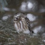 Molly Pickett - @molly_pickett_photography - Instagram