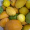 Molly Pope - @molly.pope7 - TikTok