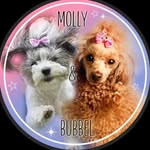 Molly, Poppa, Pink, Bubbel and Emma - @molly.bubbel.poppa.pink - Instagram