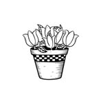 Molly Popp’s Flower Shop - @mollypoppsflowershop - Instagram
