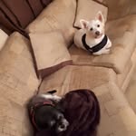 molly.poppy.bruce - @molly.poppy.bruce - Instagram