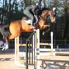 Molly potts P2T - @molly_pottsp2t - TikTok