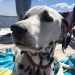 Molly Putnam - @mollyputnam47 - Instagram