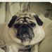 Molly Putnam - Facebook