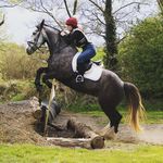 Molly Putnam - @mp_equestrian05 - Instagram