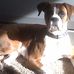 Molly Rader - Facebook
