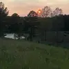 Molly Raines - @mollyraines9 - TikTok