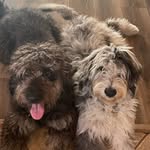 Molly Redding and Indy Jones Redding - @mollyand_indysfanpage2022 - Instagram