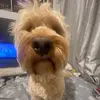 molly⭐️ - @molly.richmond2 - TikTok