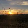 Molly - @molly_richmond15 - TikTok