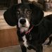 Molly Richter - Facebook