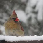 Molly Richter - @molly.richter.75 - Instagram