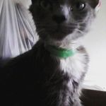 molly ringwald - @mollymancan - Instagram
