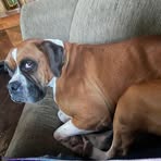 Molly Rivera - Facebook