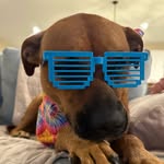 @molly_doodle_roberson - Instagram
