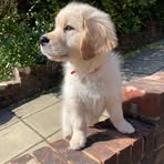 Molly Roe - Facebook